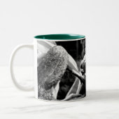 Frosch auf Leaf B+W Zweifarbige Tasse (Links)