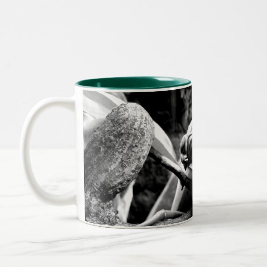 Frosch auf Leaf B+W Zweifarbige Tasse (Links)