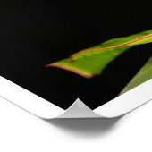 Frosch auf Leaf Poster (Ecke)