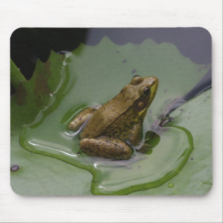 Frosch auf Lilien-Auflage Mousepad