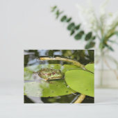 Frosch auf Lilienblättern Postkarte (Stehend Vorderseite)