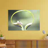 Frosch auf Pflanze, Stamm, Biei, Hokkaido, Japan Leinwanddruck (Insitu (Wohnzimmer))