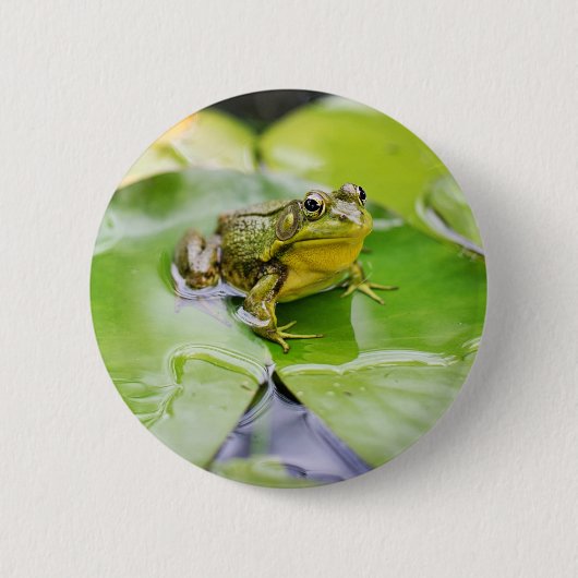 Frosch auf Seerosenblatt Button (Vorderseite)