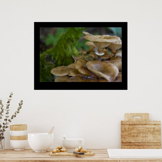 Frosch auf Toadstool Poster (Küche)