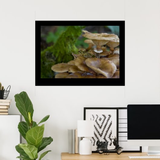 Frosch auf Toadstool Poster (Heimbüro)