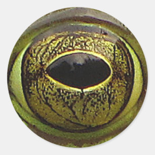 Frosch-Auge Runder Aufkleber