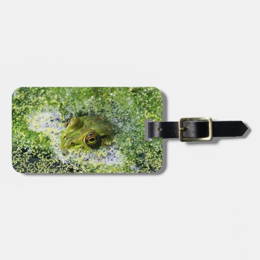Frosch Augen in einem Teich Gepäckanhänger (Vorderseite horizontal)