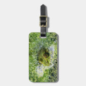 Frosch Augen in einem Teich Gepäckanhänger (Vorderseite vertikal)