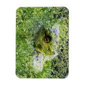 Frosch Augen in einem Teich Magnet (Vertikal)