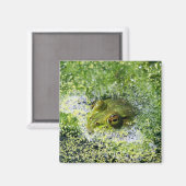Frosch Augen in einem Teich Magnet (Vorderseite/Rückseite)