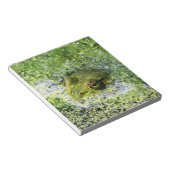 Frosch Augen in einem Teich Notizblock (angewinkelt)