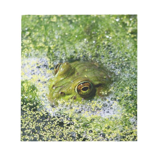 Frosch Augen in einem Teich Notizblock (Vorderseite)