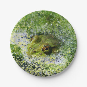 Frosch Augen in einem Teich Pappteller
