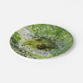 Frosch Augen in einem Teich Pappteller (Schrägansicht)