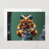 Frosch aus Gelb und Schwarz Postkarte (Vorne/Hinten)