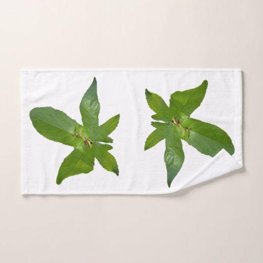 Frosch aus grünem Traubenblättern, Badetücher Set (Handtuch)