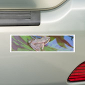 Frosch Autoaufkleber (Auf Auto)