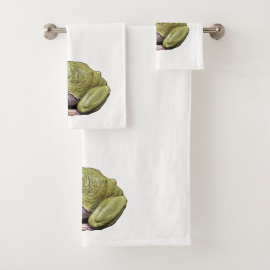Frosch Badhandtuch Set (Insitu)
