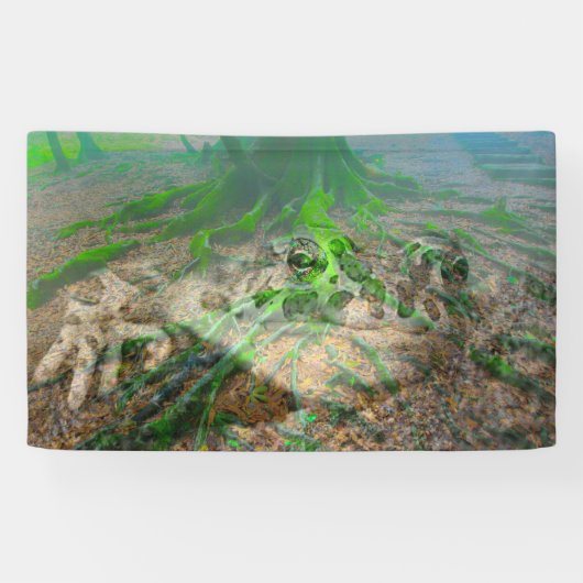 Frosch Banner (Horizontal)