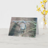 Frosch/Bete Karte (Gelbe Blume)