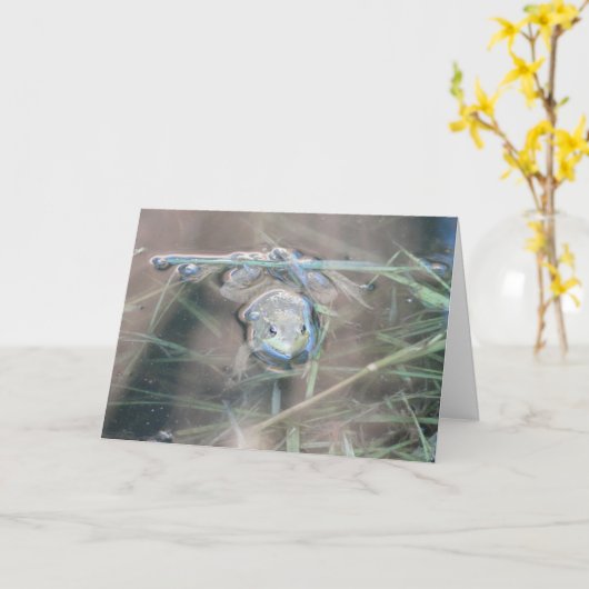 Frosch/Bete Karte (Gelbe Blume)