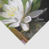 Frosch bewundern Wasserlilie entziehen Seidenpapier (Ausschnitt)