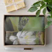 Frosch bewundern Wasserlilie entziehen Seidenpapier (Geschenk)