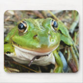 Frosch-Bild-Mausunterlage Mousepad (Vorne)