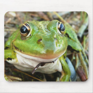 Frosch-Bild-Mausunterlage Mousepad