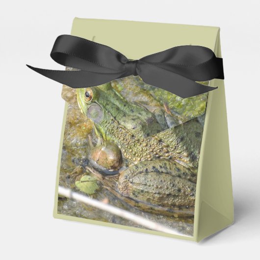 Frosch Birthday Party Kinder Junge Tier Geschenkschachtel (Vorderseite)