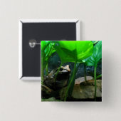 Frosch Button (Vorne & Hinten)