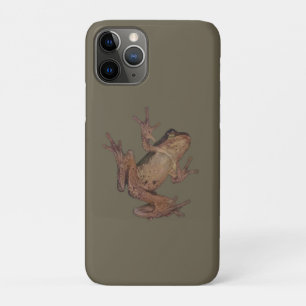Frosch Case-Mate iPhone Hülle
