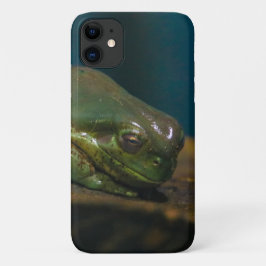 Frosch Case-Mate iPhone Hülle