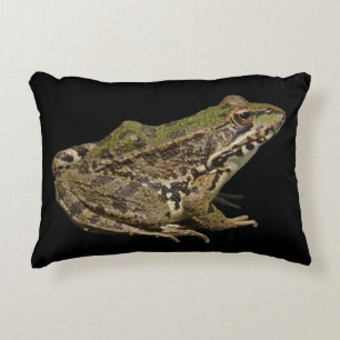 Frosch Dekokissen
