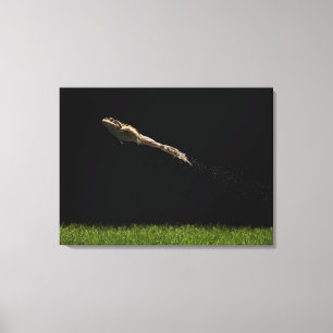 Frosch, der weg vom frischen grünen Gras springt Leinwanddruck