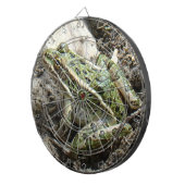 Frosch des Leopard-R3 Dartscheibe (Vorderseite rechts)