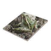 Frosch des Leopard-R3 Fliese (Seite)