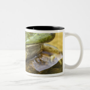 Frosch entlang des Buffalo River, Meile 126 an dem Zweifarbige Tasse