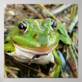 Frosch Eyes Poster (Vorne)