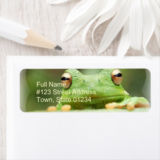 Frosch Eyes Rücksendeadresse (Insitu)