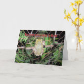 Frosch-Fall herein dort Karte (Gelbe Blume)