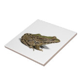 Frosch Fliese (Seite)