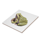 Frosch Fliese (Seite)