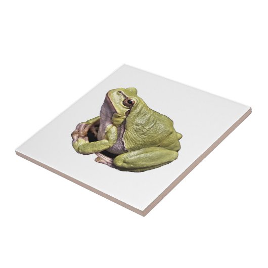 Frosch Fliese (Seite)