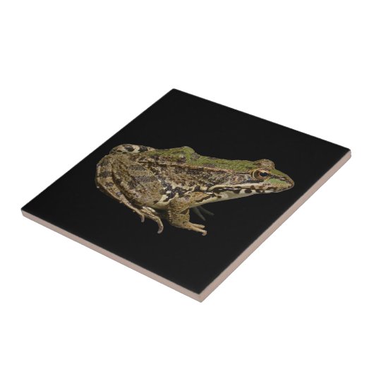 Frosch Fliese (Seite)