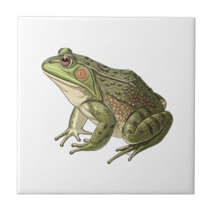 Frosch Fliese