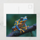 Frosch, gelb und blau postkarte (Vorne/Hinten)