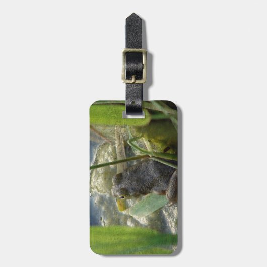 Frosch Gepäckanhänger (Vorderseite vertikal)