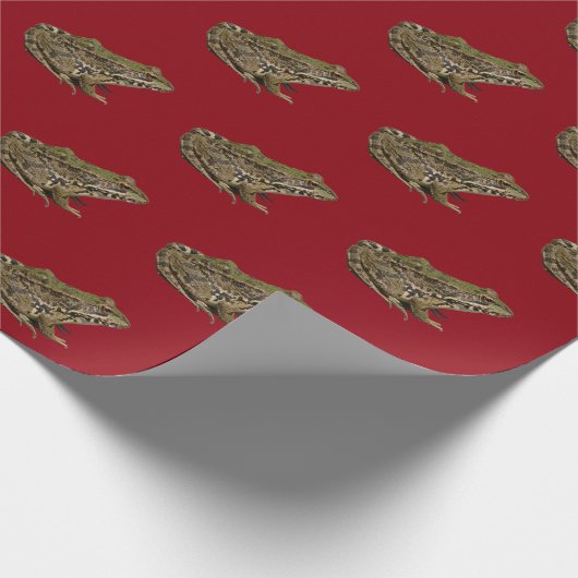 Frosch Geschenkpapier (Ecke)