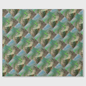 Frosch Geschenkpapier (Flach)